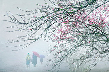 Cộng đồng